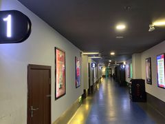 -大地影院(上海南汇店)