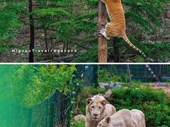 -济南野生动物世界