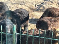 -秦皇岛野生动物园