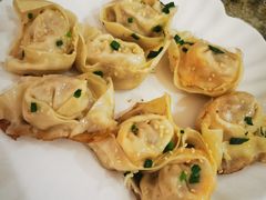 蛋黄鲜肉煎馄饨-乌镇姐妹特色小吃(银杏公寓店)