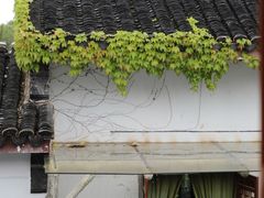 -橘酱餐厅