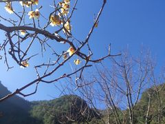 -苍山感通索道