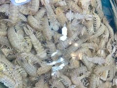 -旺角小渔村·海肠捞饭开创者(环山路店)