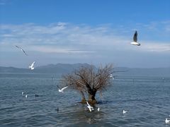 -捞渔河湿地公园