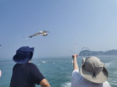 -海驴岛(荣成市)