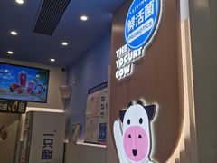 -一只酸奶牛(春熙路店)
