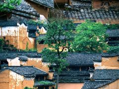 -杨家堂村