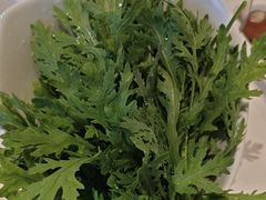 -蒙都43°9羊火锅·赤峰美食(宁城店)