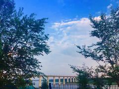 -永定河休闲森林公园