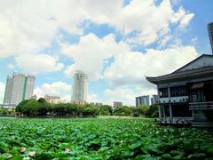-荔湾湖公园