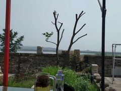 -西山樟坞健康果园枇杷杨梅采摘