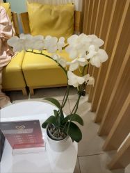 -Yestar宁波艺星整形医院