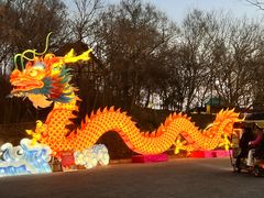 -大塘金香草谷