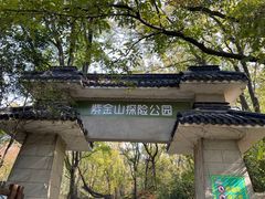 -紫金山山顶公园