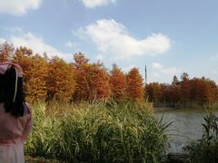 -梁鸿国家湿地公园