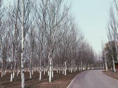 -东郊湿地公园