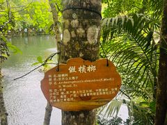-海口火山口国家地质公园