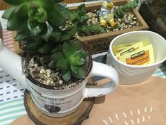 -Rabbit Cafe私房西餐甜点咖啡(栖霞路店)