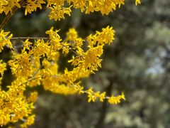 -丽泽山庄·生态怀柔菜·虹鳟鱼(红螺寺店)