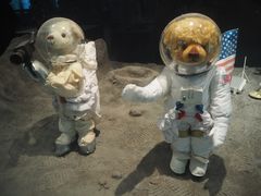 -济州岛泰迪熊博物馆