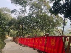-黄埔油麻山森林公园
