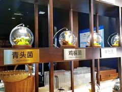 -芸山季·云南野生菌火锅(人民广场来福士店)