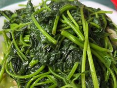 -洞背山庄(洞背院区式管理小区店)