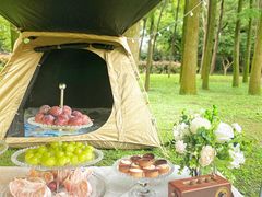 -上海共青森林公园