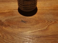 -薇酌饮·陕西菜(南门外店)