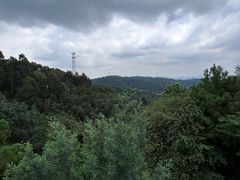 -云南野生动物园