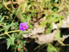 -碓臼峪自然风景区