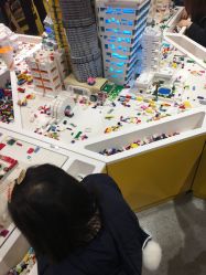 -乐高品牌旗舰店(人民广场店)