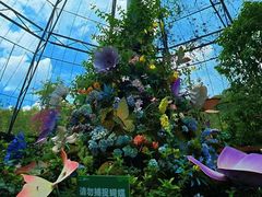 -野象谷景区