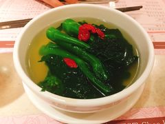上汤芥兰-池记(尖沙咀店)