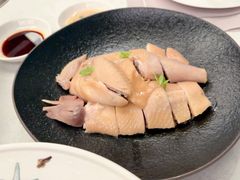 -南海渔村·空中一号