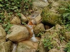 -火炉山森林公园