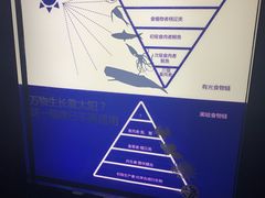 -同济大学四平路校区深海探索馆