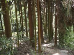 -太阳湾风景区