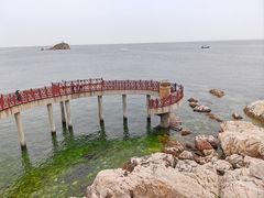 -养马岛旅游度假区