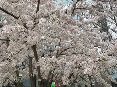 -维多利亚火车站