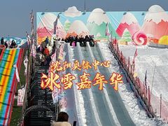 -沈阳奥体冰雪嘉年华