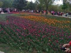 -长春公园(普阳街道)