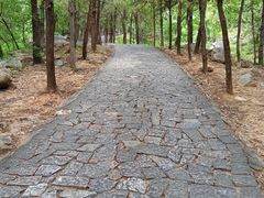 -泰山风景名胜区-普照寺
