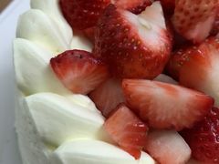 -维尔纳斯·生日蛋糕·动物奶油冰淇淋蛋糕(六里桥店)