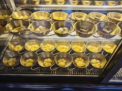 -野人部落(沈阳一店)