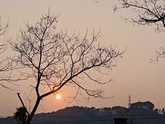 -南山植物园
