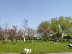 -九里河湿地公园