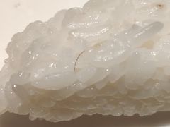 -花见居酒屋(左岭店)