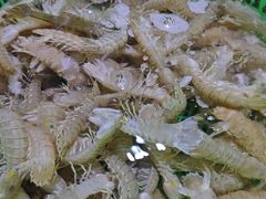 -聚盛源蒸汽海鲜火锅烤肉自助(巨川金海岸购物广场店)