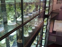 -广东中医药博物馆